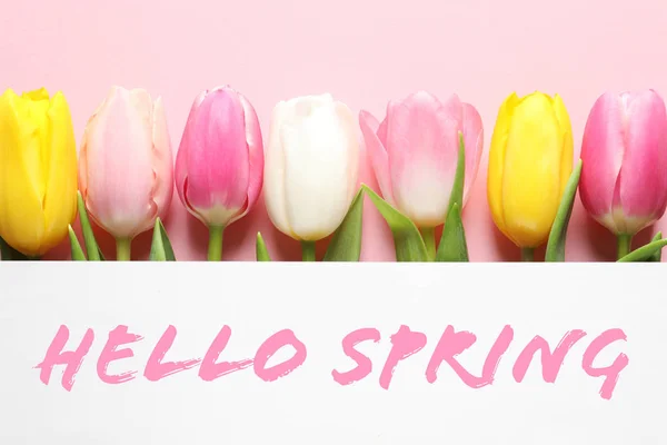 Плоская Композиция Красивых Цветов Текста Hello Spring Цветном Фоне — стоковое фото