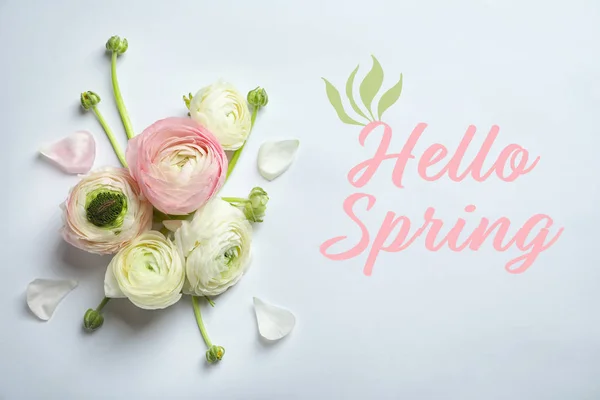 Красивые Цветы Текст Ранункулус Hello Spring Светлом Фоне Вид Сверху — стоковое фото