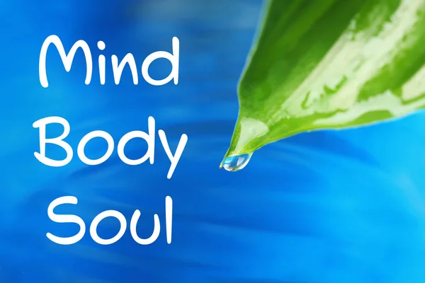 Picătură Apă Frunze Verzi Text Mind Body Soul Fundal Albastru — Fotografie, imagine de stoc
