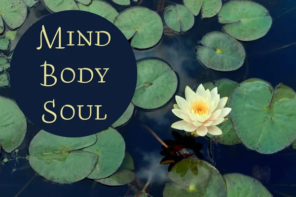 Wunderschöne Blühende Seerose Und Text Geist Körper Seele Auf Wasseroberfläche — Stockfoto