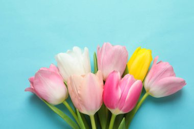 Bahar lale renk arka plan, üstten görünüm üzerinde. Dünya Kadınlar günü