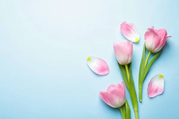 Plat Lag Samenstelling Van Tulpen Blauwe Achtergrond Ruimte Voor Tekst — Stockfoto