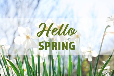 Metin Merhaba bahar ve Bahçe içinde güzel çiçek çiçekler