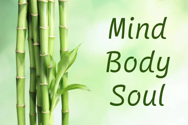 Verde Tulpini Bambus Text Mind Body Soul Fundal Neclară Practica — Fotografie, imagine de stoc