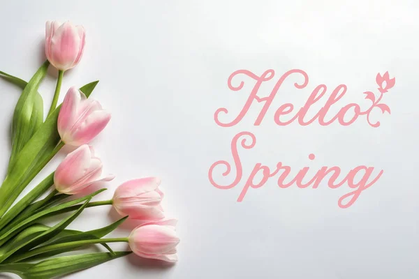 Hello Spring White Background Top View — стоковое фото