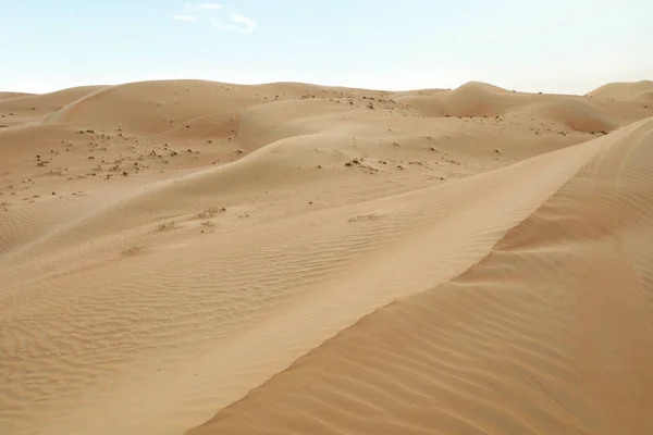 Paesaggio Pittoresco Del Deserto Sabbioso Nella Giornata Calda — Foto Stock