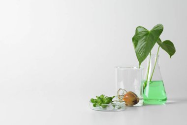 Laboratuar kapkacakları bitkiler üzerinde beyaz arka plan ile. Kavramı kimya