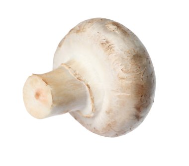 Taze champignon mantar beyaz izole. Sağlıklı gıda