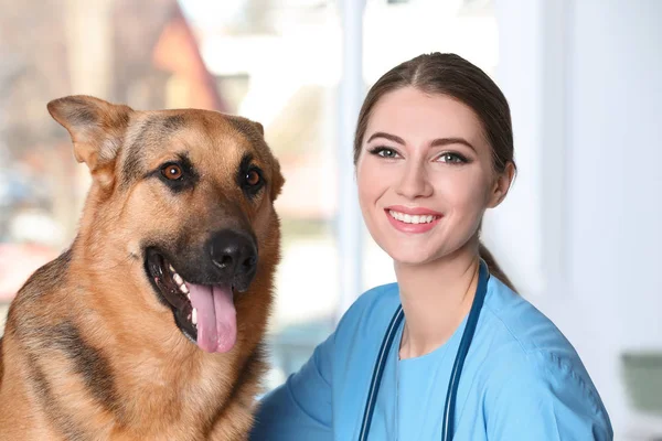 動物病院で犬と一緒に獣医 Doc — ストック写真