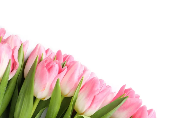 Красивые Весенние Тюльпаны Белом Фоне Вид Сверху Международный Женский День — стоковое фото
