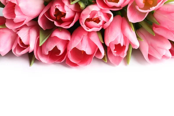 Hermosos Tulipanes Primavera Sobre Fondo Blanco Día Internacional Mujer — Foto de Stock