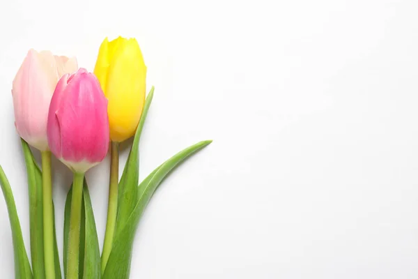 Prachtige Lente Tulpen Witte Achtergrond Bovenaanzicht Internationale Vrouwendag — Stockfoto