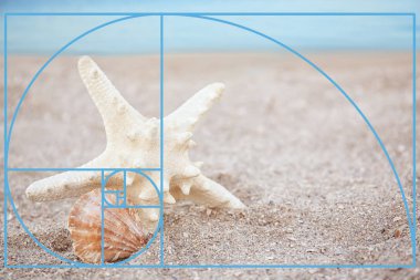 Fibonacci sarmal denizyıldızı kum plajındaki seashell ile. Altın oran kavramı 