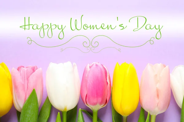 Плоскі Лежав Композиції Красивою Весняної Тюльпанів Колір Тла Щасливі Жіночого — стокове фото