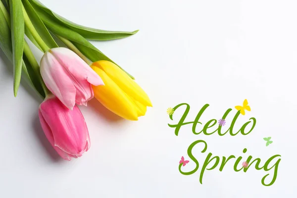 Flori Frumoase Text Hello Spring Fundal Alb Vedere Sus — Fotografie, imagine de stoc