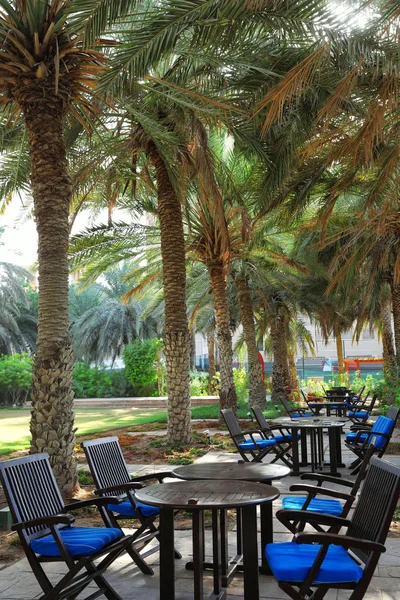 Café Aire Libre Resort Tropical Día Soleado —  Fotos de Stock