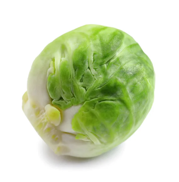 Fresh Tasty Brussels Sprout White Background — Stock Photo, Image