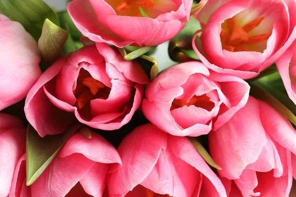 Hermosos Tulipanes Primavera Como Fondo Primer Plano Día Internacional Mujer — Foto de Stock