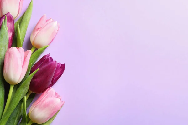 Красивые Весенние Тюльпаны Цветном Фоне Вид Сверху Пространством Текста Международный — стоковое фото