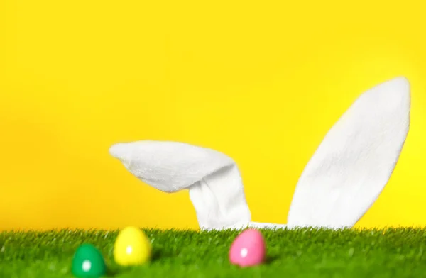 復活祭の卵は緑の芝生と面白いウサギの背景色 テキストのためのスペースの耳 — ストック写真