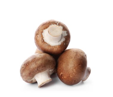 Taze champignon mantar beyaz izole. Sağlıklı gıda