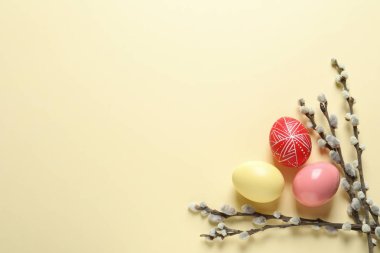 Düz renkli arka plan, metin için yer yumurta boyalı Paskalya ile kompozisyon lay