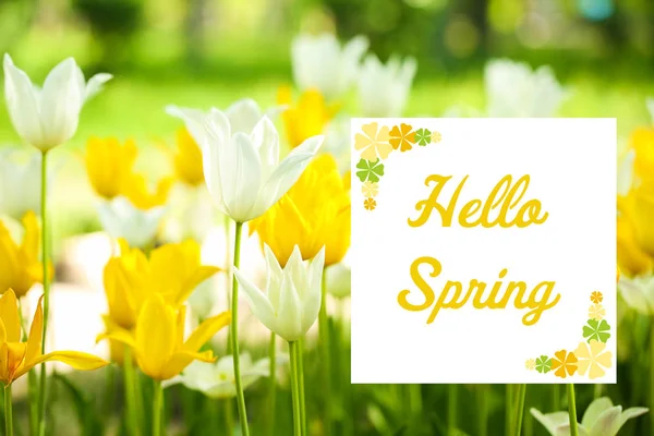 Texto Olá Primavera Belas Flores Florescentes — Fotografia de Stock