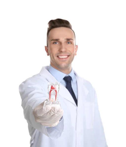 Чоловік Стоматолог Тримає Модель Зуба Білому Тлі — стокове фото