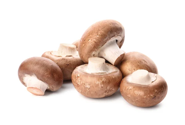 Champignon Frais Isolé Sur Blanc Aliments Sains — Photo