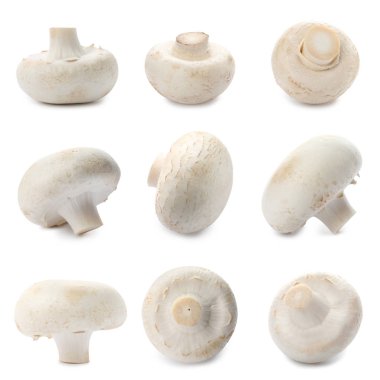 Beyaz arka plan üzerinde taze lezzetli champignon mashrooms kümesi