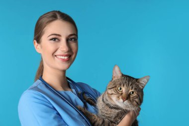 Veteriner Doktor ile kedi renk arka plan üzerinde. Metin için yer