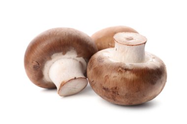 Taze champignon mantar beyaz izole. Sağlıklı gıda