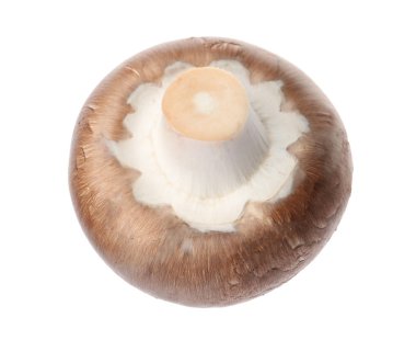 Taze champignon mantar beyaz izole. Sağlıklı gıda