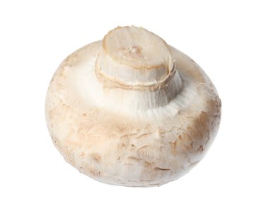Taze champignon mantar beyaz izole. Sağlıklı gıda