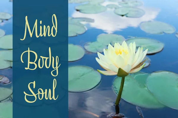 Beautiful blooming waterlily and text Mind, Body, Soul on water surface. Zen practice