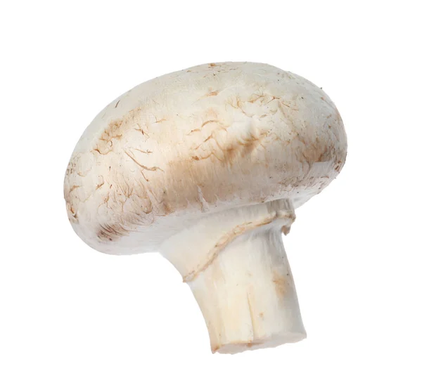 Frische Champignon Pilz Isoliert Auf Weiß Gesunde Ernährung — Stockfoto