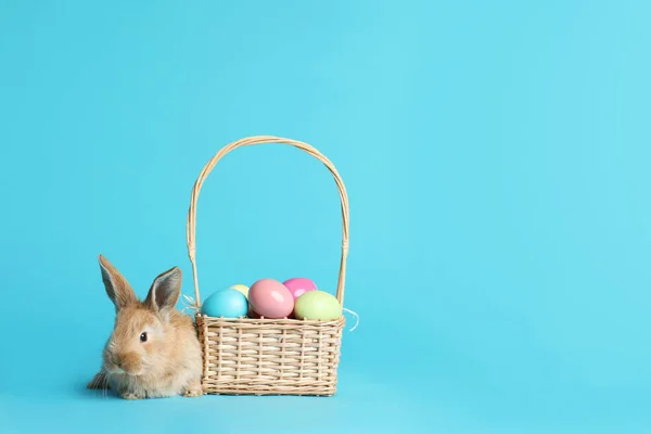 可爱的毛茸茸的复活节兔子附近的柳条篮与染色的鸡蛋上的颜色背景 文本空间 — 图库照片