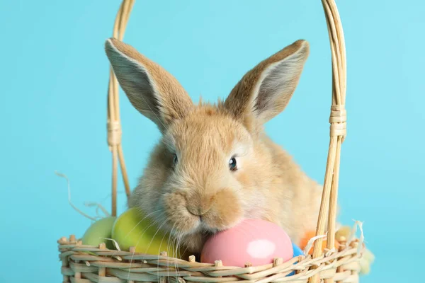 Rozkošné Chlupaté Velikonoční Zajíček Proutěném Koši Barvená Vejce Barvu Pozadí — Stock fotografie