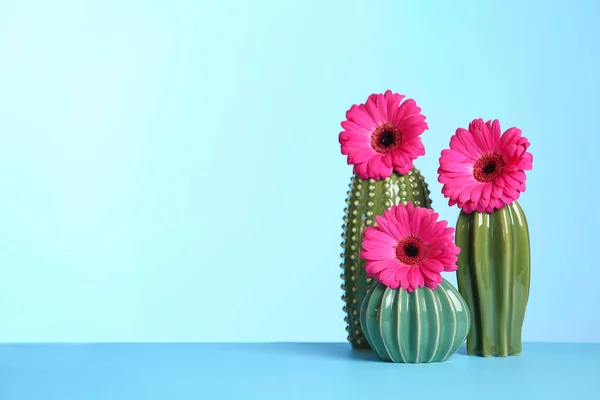 Dekorativní Kaktusy Květiny Stole Barvu Pozadí Prostor Pro Text Mezinárodní — Stock fotografie