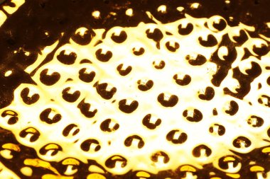 Arka plan olarak parlak altın yüzey görünümünü portre