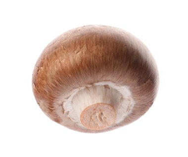 Taze champignon mantar beyaz izole. Sağlıklı gıda