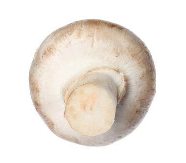 Taze champignon mantar beyaz izole. Sağlıklı gıda