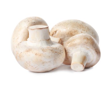 Taze champignon mantar beyaz izole. Sağlıklı gıda