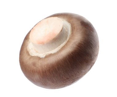 Taze champignon mantar beyaz izole. Sağlıklı gıda