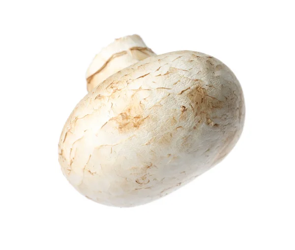 Fresh Champignon Mushroom Isolated White Healthy Food — Stock Photo, Image