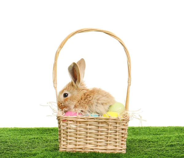 Adorable Furry Easter Bunny Wicker Basket Dyed Eggs Green Grass — Stock Photo, Image