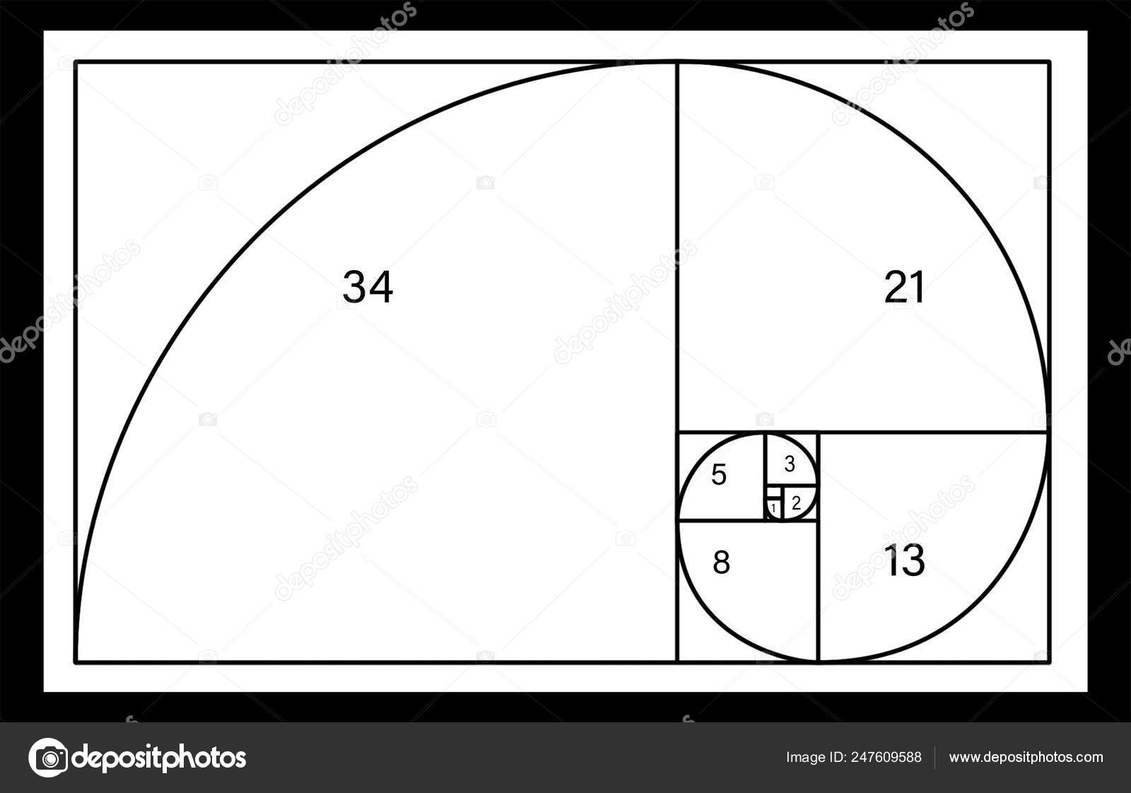 斐波那契螺旋, 白色背景上有数字。黄金比例概念——图库图片© NewAfrica #247609588