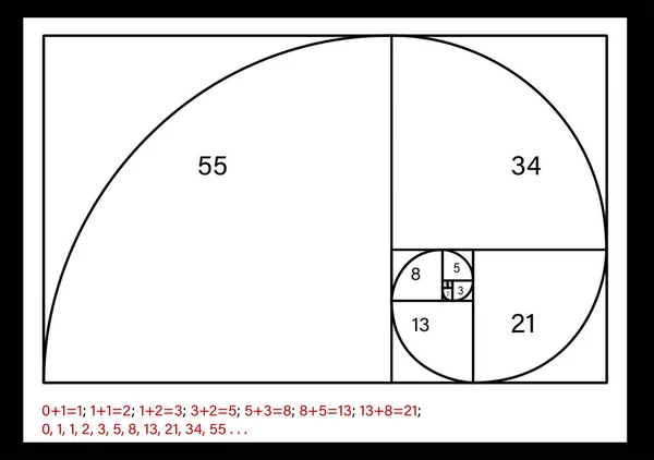 Espiral de Fibonacci com números no fundo branco. Conceito de razão dourada — Fotografia de Stock