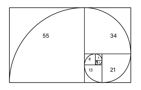 Fibonacci-Spirale mit Zahlen auf weißem Hintergrund. Goldener Schnitt — Stockfoto