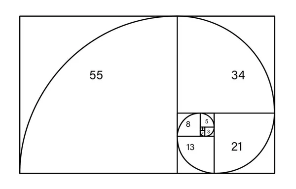 白い背景の数字とフィボナッチ ・ スパイラル。黄金比の概念 — ストック写真